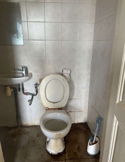 Désinfection de WC près de Toulouse - Sohane Nettoyage